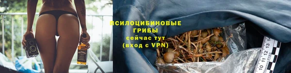 амф Абаза