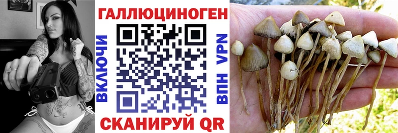 Галлюциногенные грибы мицелий  цена   Приволжский 